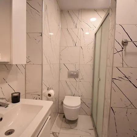 Stunning 6br 4bath Near Tram