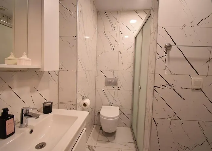 Stunning 6br 4bath Near Tram